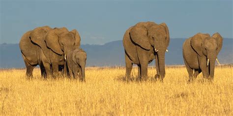 Filming Mwea National Reserve in Kenya- What to film in Kenya