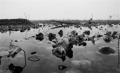 Kashmir: Wilting Crops, Closed Markets Push 'Vegetable Boatmen' Towards ...