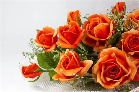 Orange Roses Wallpapers - Wallpaper Cave