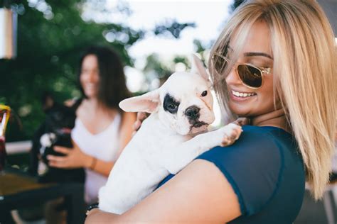 Preventing Heat Stroke in Dogs: A Comprehensive Guide - Los Angeles ...