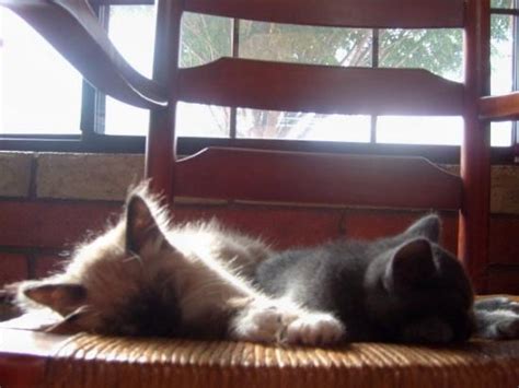 Rio Rico Tourism (2022): Best of Rio Rico, AZ - Tripadvisor