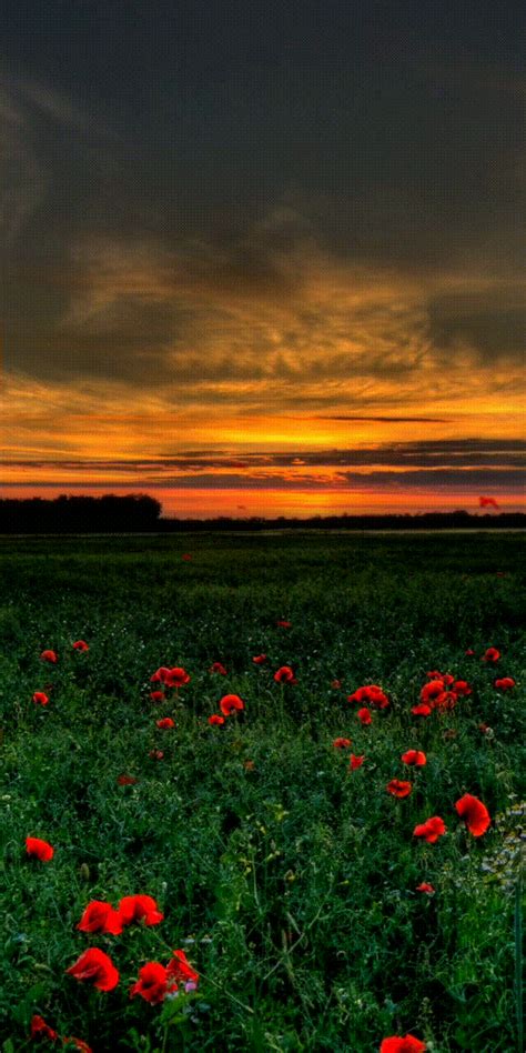 We Heart It | Amazing nature photos, Beautiful nature, Nature photography