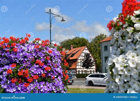 Image result for Composition of Flowers Tutorial