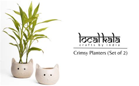 Local Kala's Elegant Ceramic Cat Planters (Set of 2) for Miniature ...
