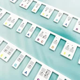 ATORSE™ Piano Sticker Removable Piano Notes Guide For Practicing ...