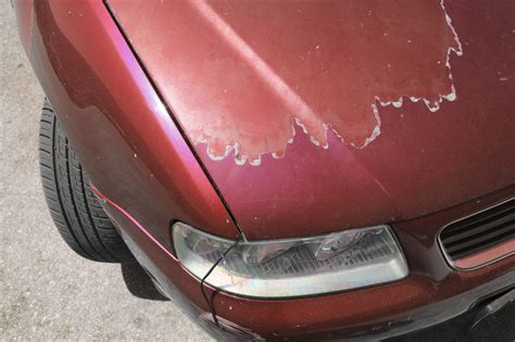 Paint Peeling Off Car How To Fix