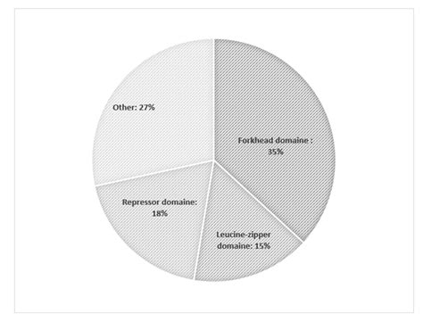 IPEX Syndrome: Genetics and Treatment Options
