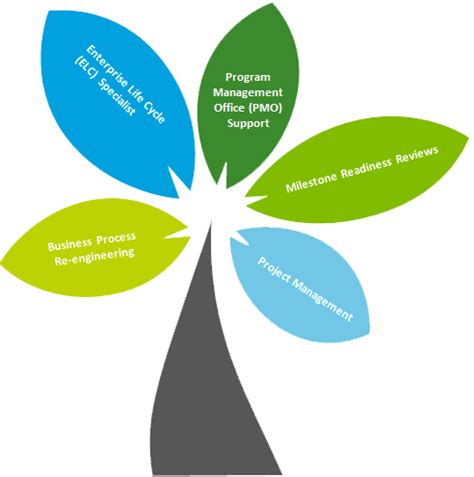 Image result for Program Management Services