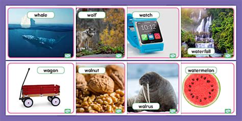 Things That Start With W Photos for PreK-K (teacher made)