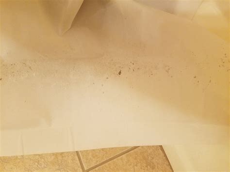 ESCUDILLA MOUNTAIN CABINS (Alpine) - Campground Reviews & Photos ...