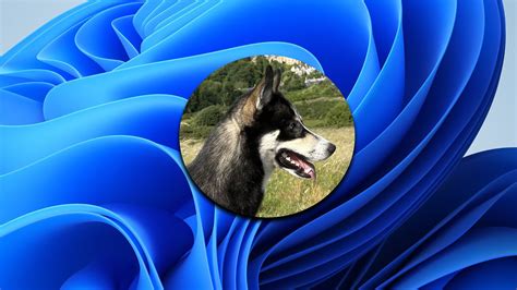 Custom Windows Desktop 的图像结果