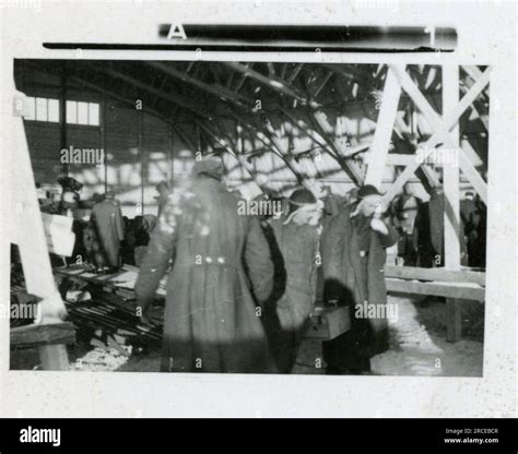 SS Photographer Eines Norwegian SS 1943 Field training, enlistment ...