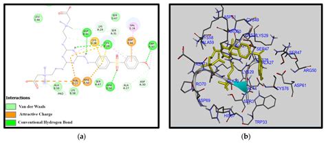Computational Analysis of Amine Functionalization in Zwitterionized ...