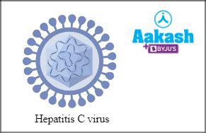 Hepatitis in Biology: Definition, Types and Importance | AESL