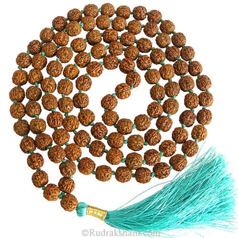 10mm Pathri-Chikna Rudraksha Rosary | Rudraksham.com Natural 5 faced ...