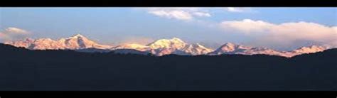 Online Consent Management & Monitoring System