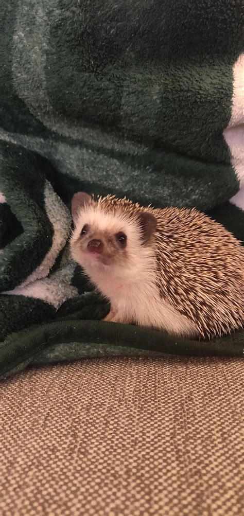 A smile from Jerry for anyone who needs to brighten their mood on a ...