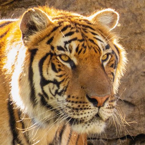 ZOO DE BATAN (2025) All You Need to Know BEFORE You Go (with Photos ...