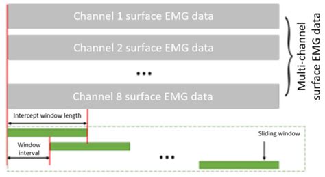 Effects of Different Feature Parameters of sEMG on Human Motion Pattern ...