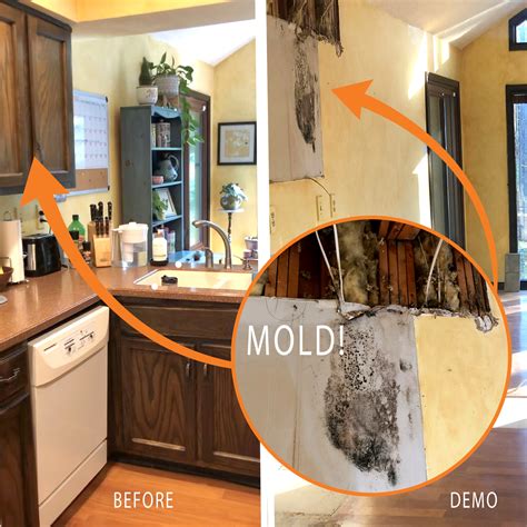 How To Get Rid Of Black Mold In Kitchen Cabinets | Cabinets Matttroy