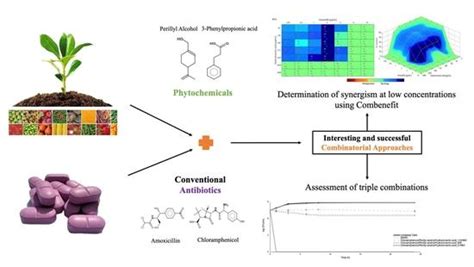 Hydrocinnamic Acid and Perillyl Alcohol Potentiate the Action of ...