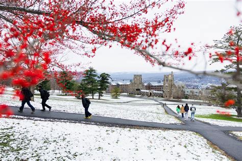 Image result for Cornell Transcript