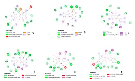 Deeper Insights on Alchornea cordifolia (Schumach. & Thonn.) Müll.Arg ...