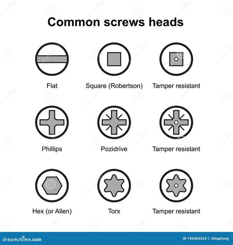 Common Screws Heads. Types of Slots Bolt Heads. the Head Stock Vector ...