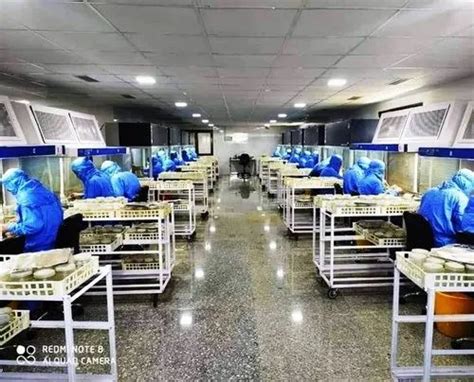 Tissue Culture Lab - Plant Tissue Culture Lab Manufacturer from Pune