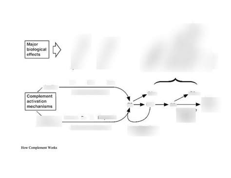 Image result for Subject Complement Diagram