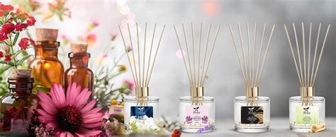 Shrida Oceanic Waves Reed Diffuser | 120ml | 6 Rattan Sticks | Toxin ...