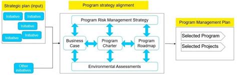 Program Strategy 的图像结果