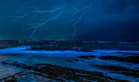 5 Must-See Bioluminescent Beaches Around the World
