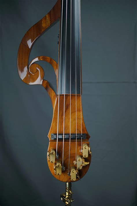 Upright Basses — Jordan Violins