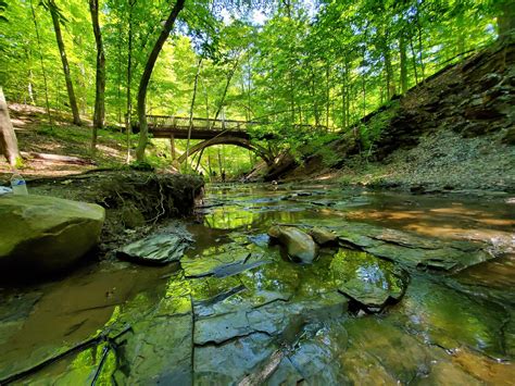 Ravine Walk – Highbanks Metro Park | Friends of The Ravines