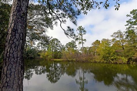 Camp Mohawk County Park in alvin United States Of America - reviews ...