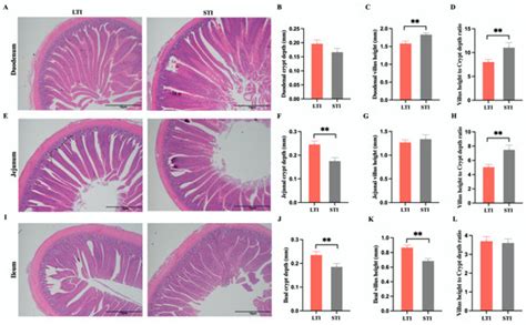 Integrated Microbiome and Metabolomics Analysis Reveals Altered ...