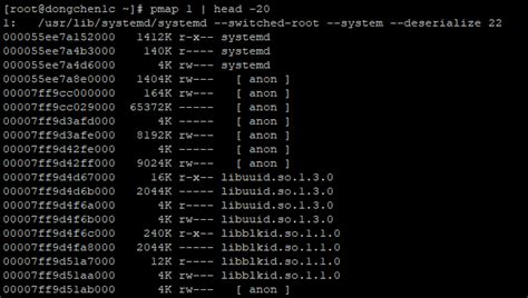 Image result for Pmap Process Map