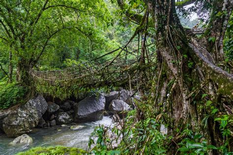 पहन लो मजबूत जूते और निकल जाओ Northeast India के फेमस Treks पर ...