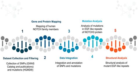 SNP and Structural Study of the Notch Superfamily Provides Insights and ...