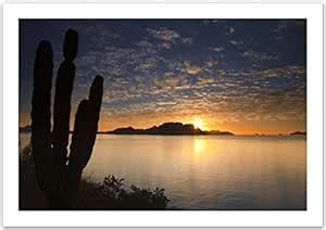 WallsnArt, Nature Modern Framed Art Work Painting With out glass,Cabo ...