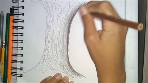 Image result for Tree Bark Simple Drawing