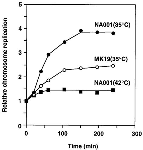 Image result for Cell Over Replication