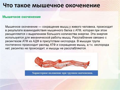 Посмертный уход - презентация онлайн