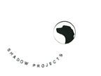 Image result for Shadow Projects Logo Evolution