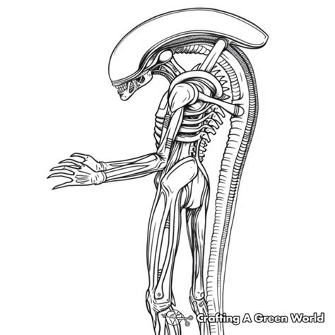 Alien Xenomorph Coloring Pages 的图像结果