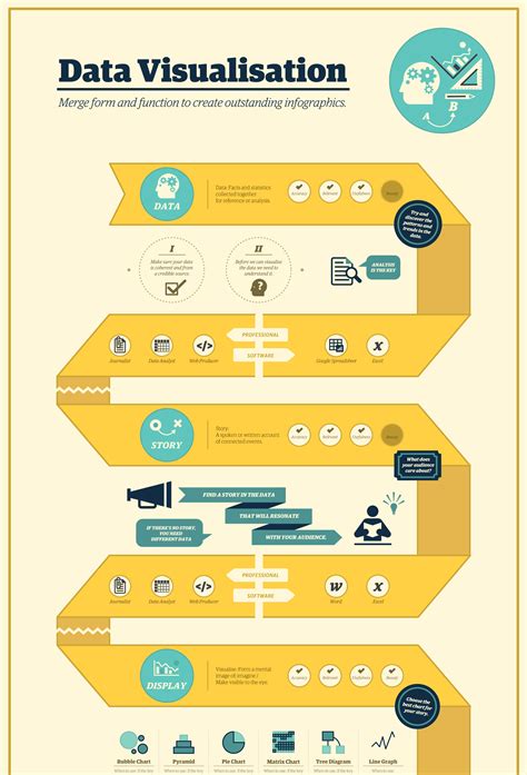 infographic data visualization