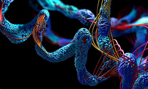 MIT Physics Open Course 的图像结果