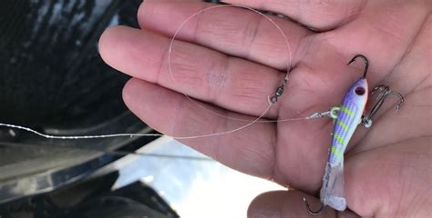 Image result for Puppet Minnow for Spring Perch