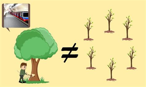 BMRCL’s extra saplings lack extra benefit – The Softcopy